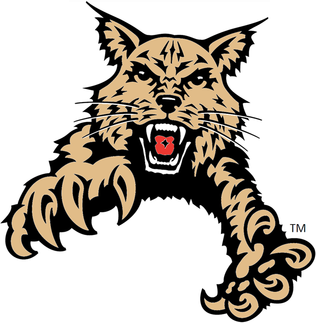 Abilene Christian Wildcats 1997-2012 Partial Logo DIY iron on transfer (heat transfer)